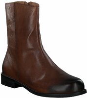Damen-Stiefeletten aus Leder 901519 (Braun)